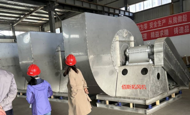 12312312313 12312312313